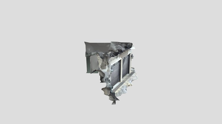 Test_ Scan_4 3D Model