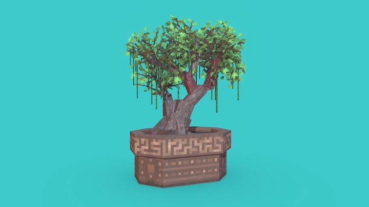 Potted Bonsai Tree