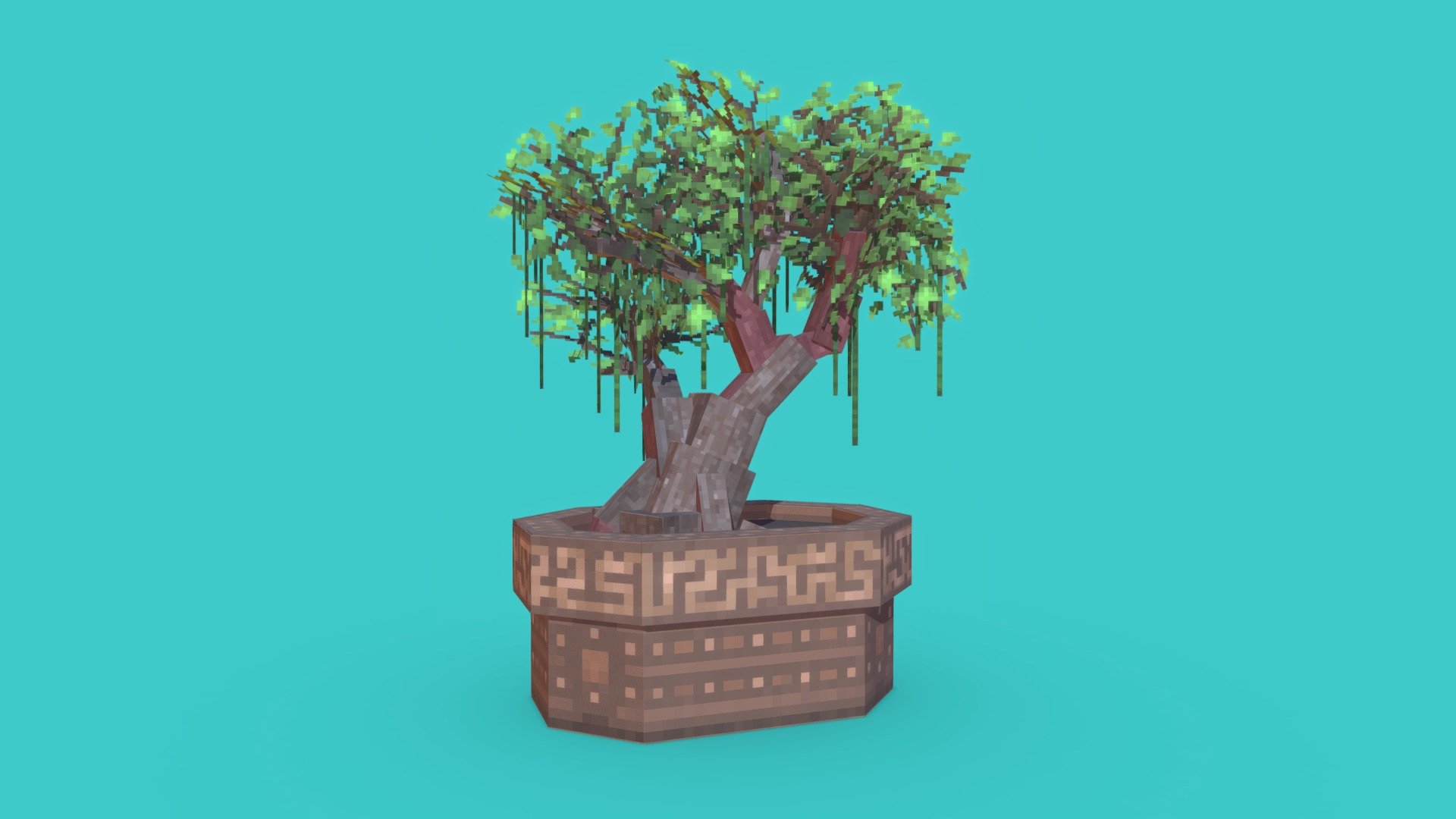 Potted Bonsai Tree
