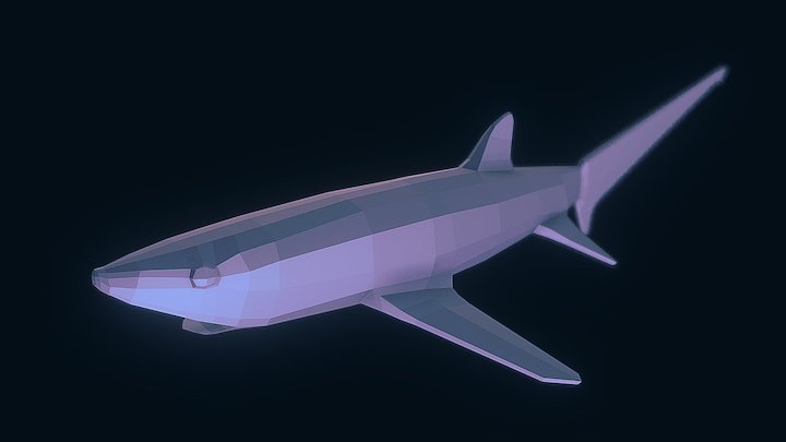 Thresher Shark 3D Model