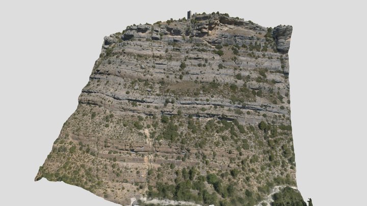Aflorament de Sant Martí de Vilanoveta 3D Model