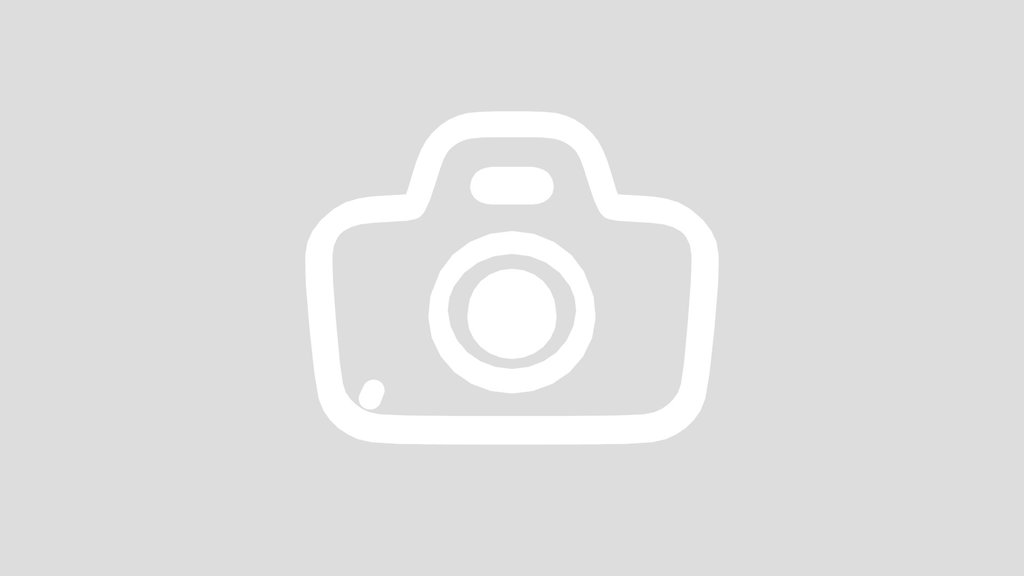 Camera Icon