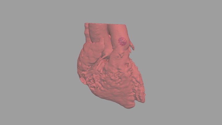 Watchman2 3D Model