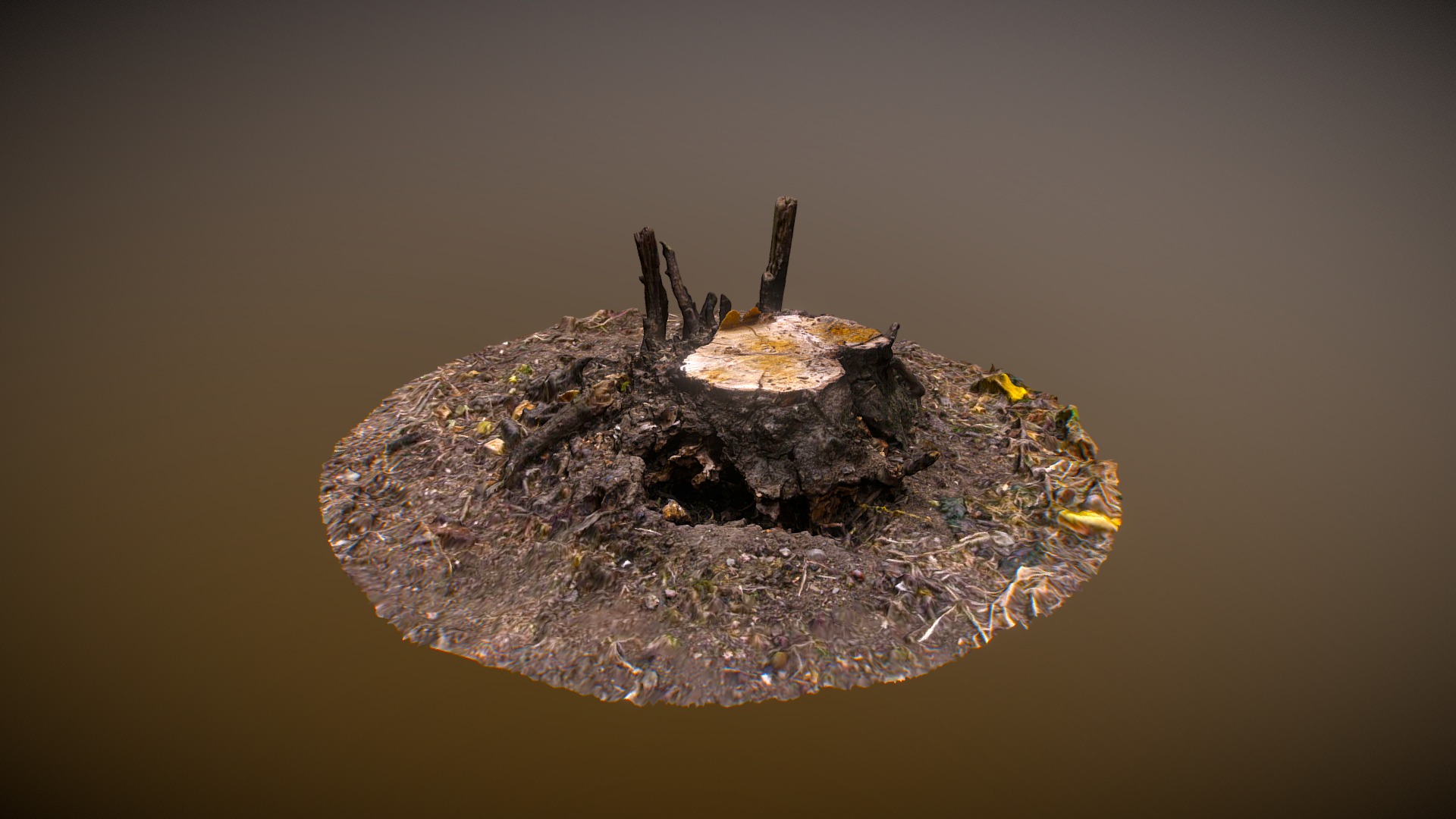 3D model Old Stump 2 - This is a 3D model of the Old Stump 2. The 3D model is about a piece of wood with a piece of wood on it.