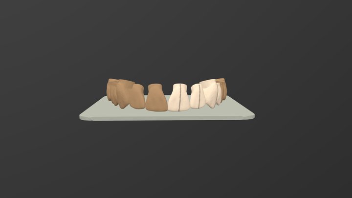 2_upper teeth on plate 3D Model