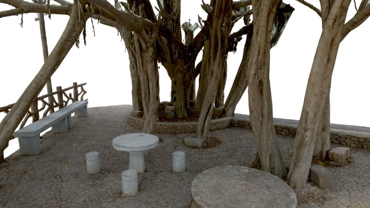 2024-12-21 Pubutang village tree 3D Model