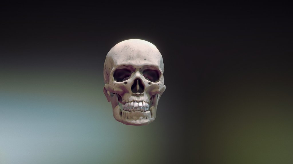 Skull downloadable