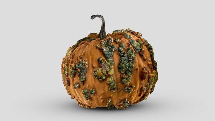 Bumpy Pumpkin 3D Model