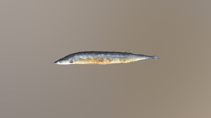 grilled saury fish 3D Model