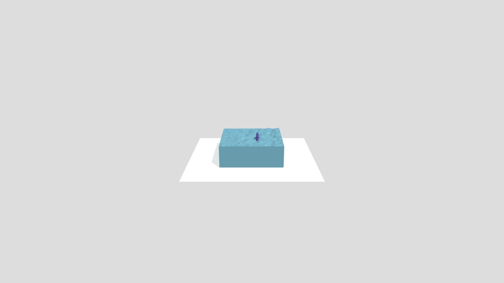 whale in the sea