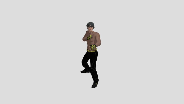 Fist Fight A 3D Model