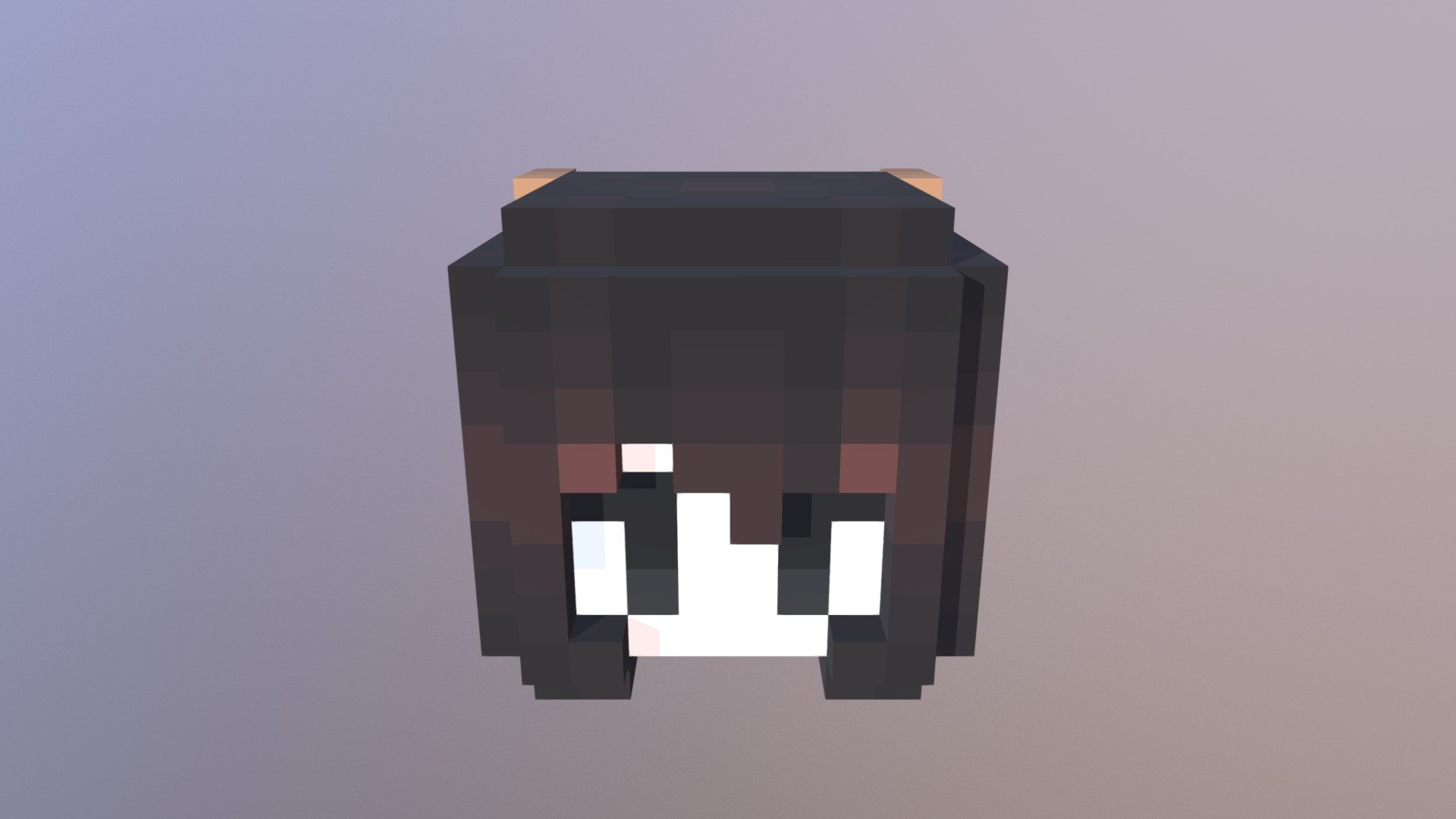 My Minecraft Skin Head