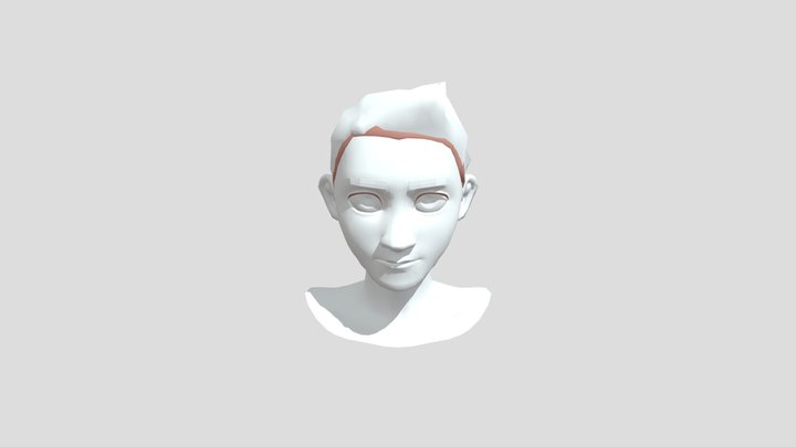 Facial-rig 3D Model