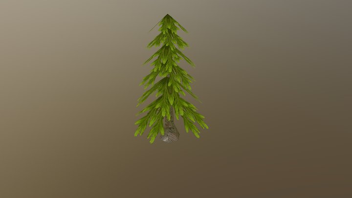 Pine_Tree_1 3D Model