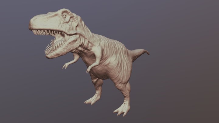 T-rex / Tyrannosaurus rex 3D Model