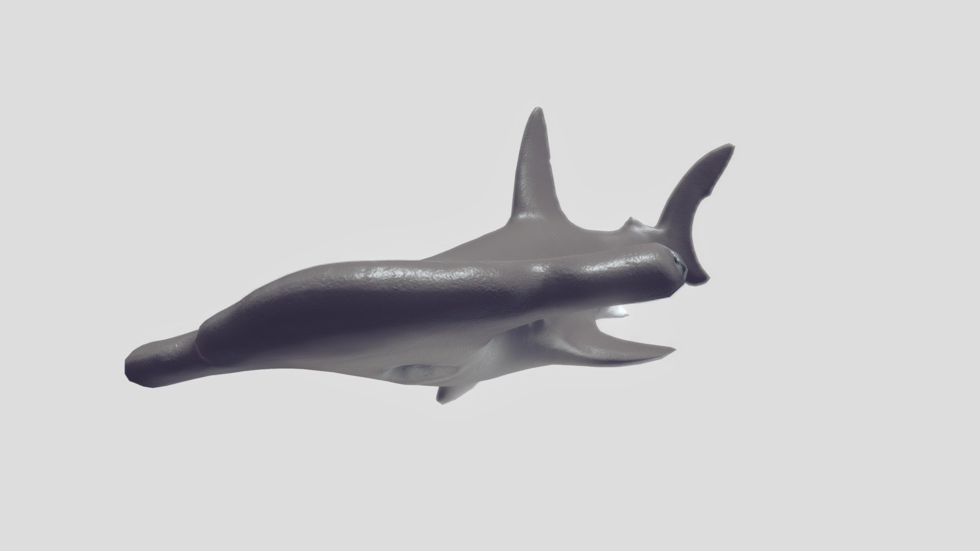Final Shark Model