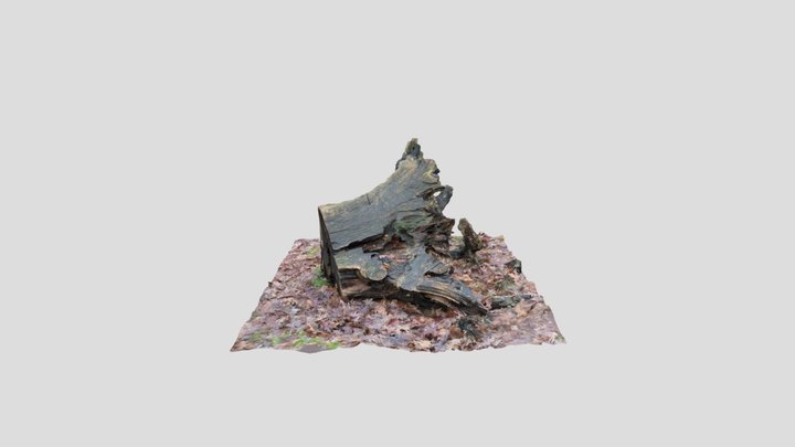 Tree 4 – Free 3D Model STL