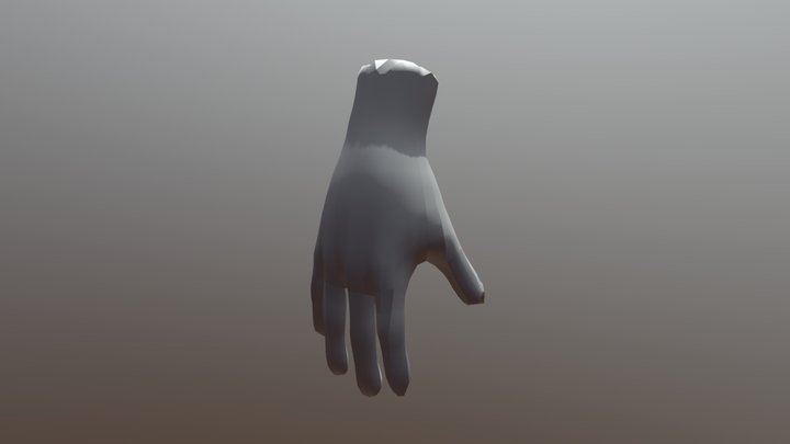 Retopology Hand 3D Model