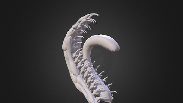 Teeth 3D Model