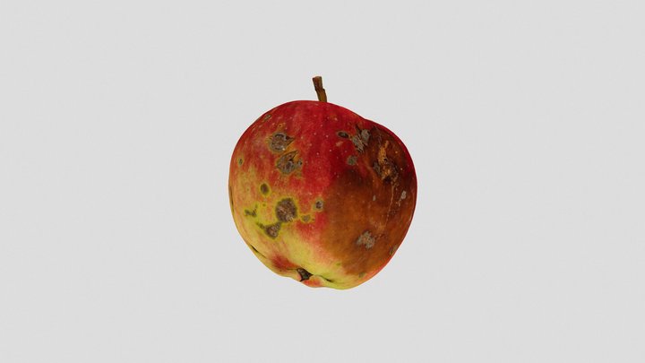 Rotten apple 3D Model