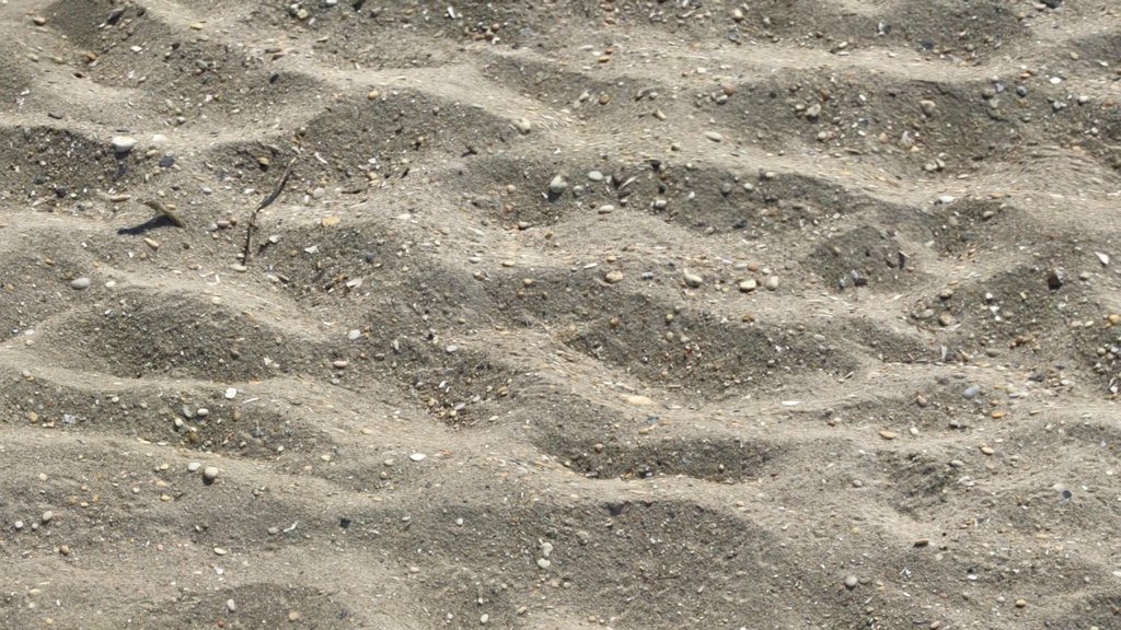 Sand at Sunset Beach