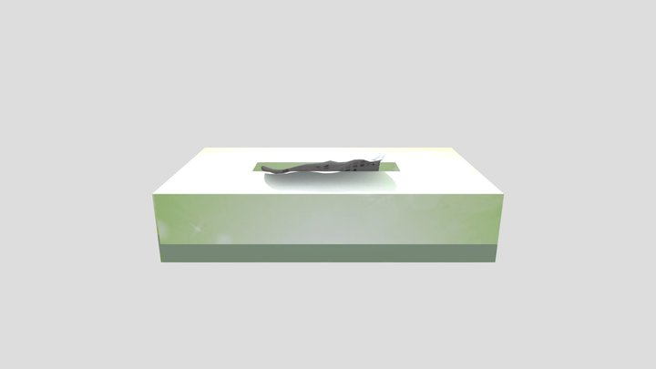 Tissue Box 3D Model