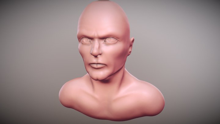 Male Bust Sculpt 3D Model