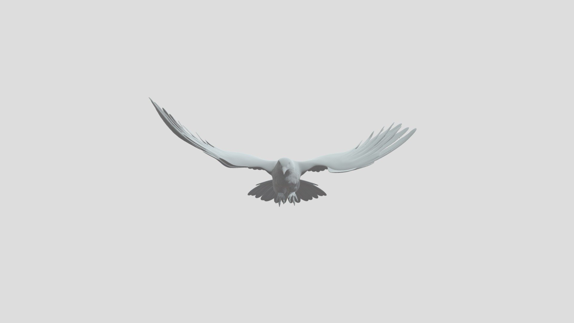 White Dove in Flight - 3D model by Pongsakorn.Nimsiri [1ac6a25] - Sketchfab