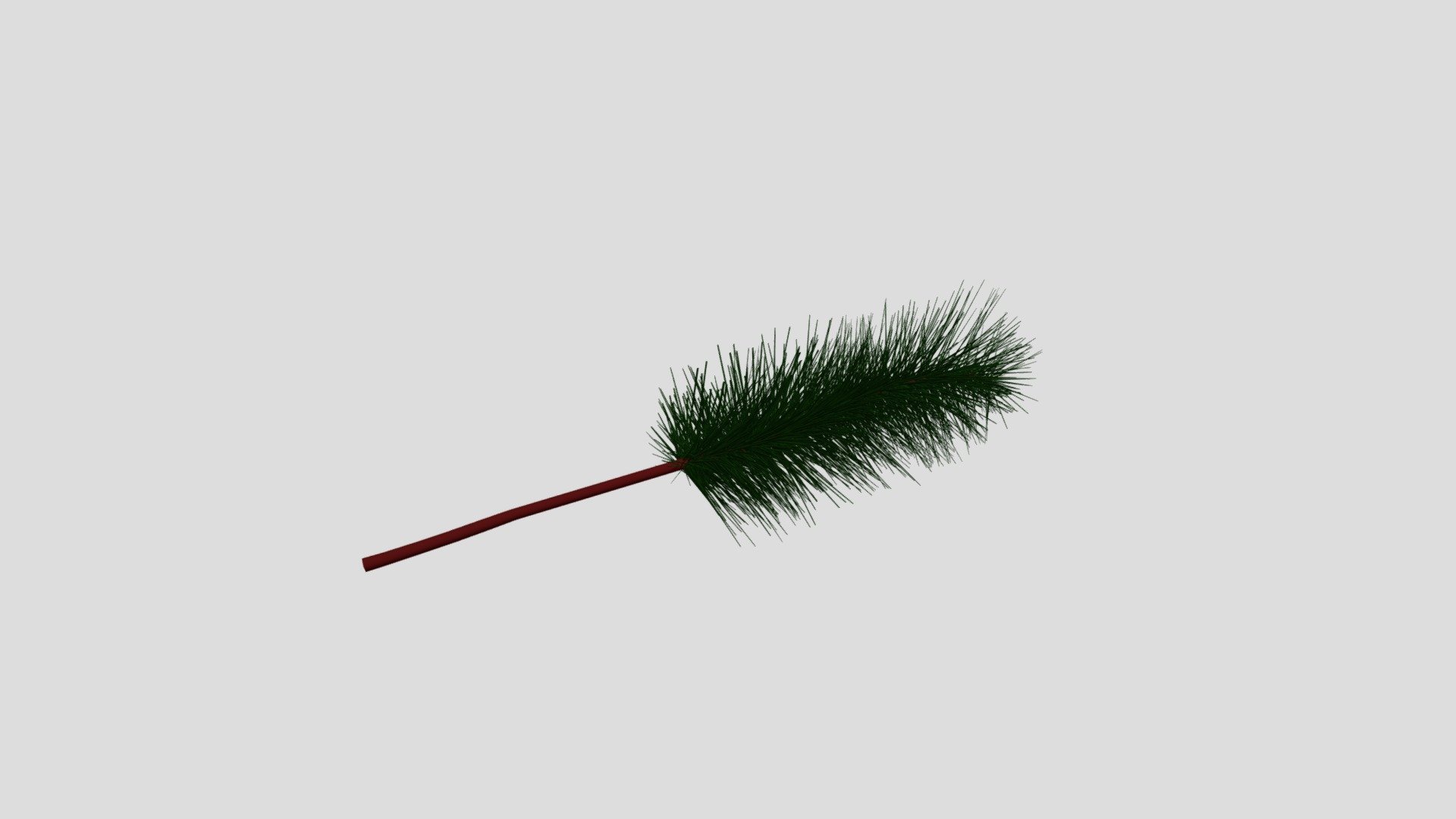 Fibers1 Pine tris