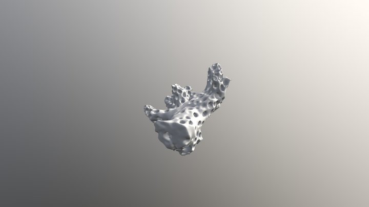 CORAL 2 Merged 3D Model
