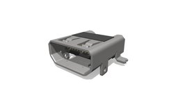 Micro HDMI Port