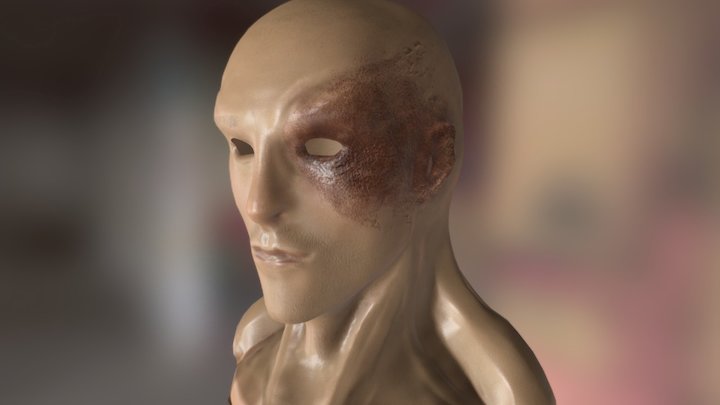 Zuko Practice 3D Model