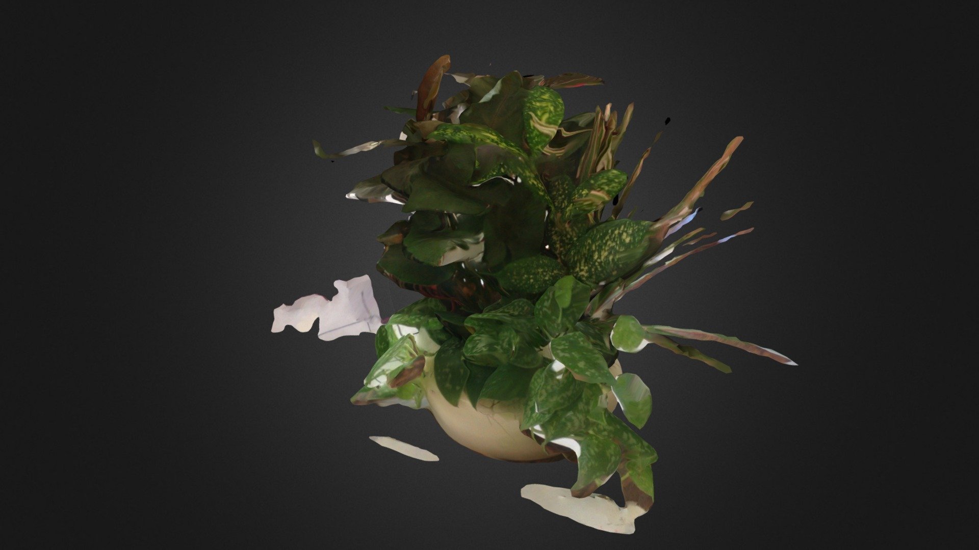 HQ pot #3DST13 