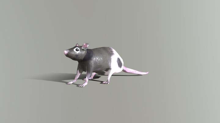 CherryDefinitive 3D Model