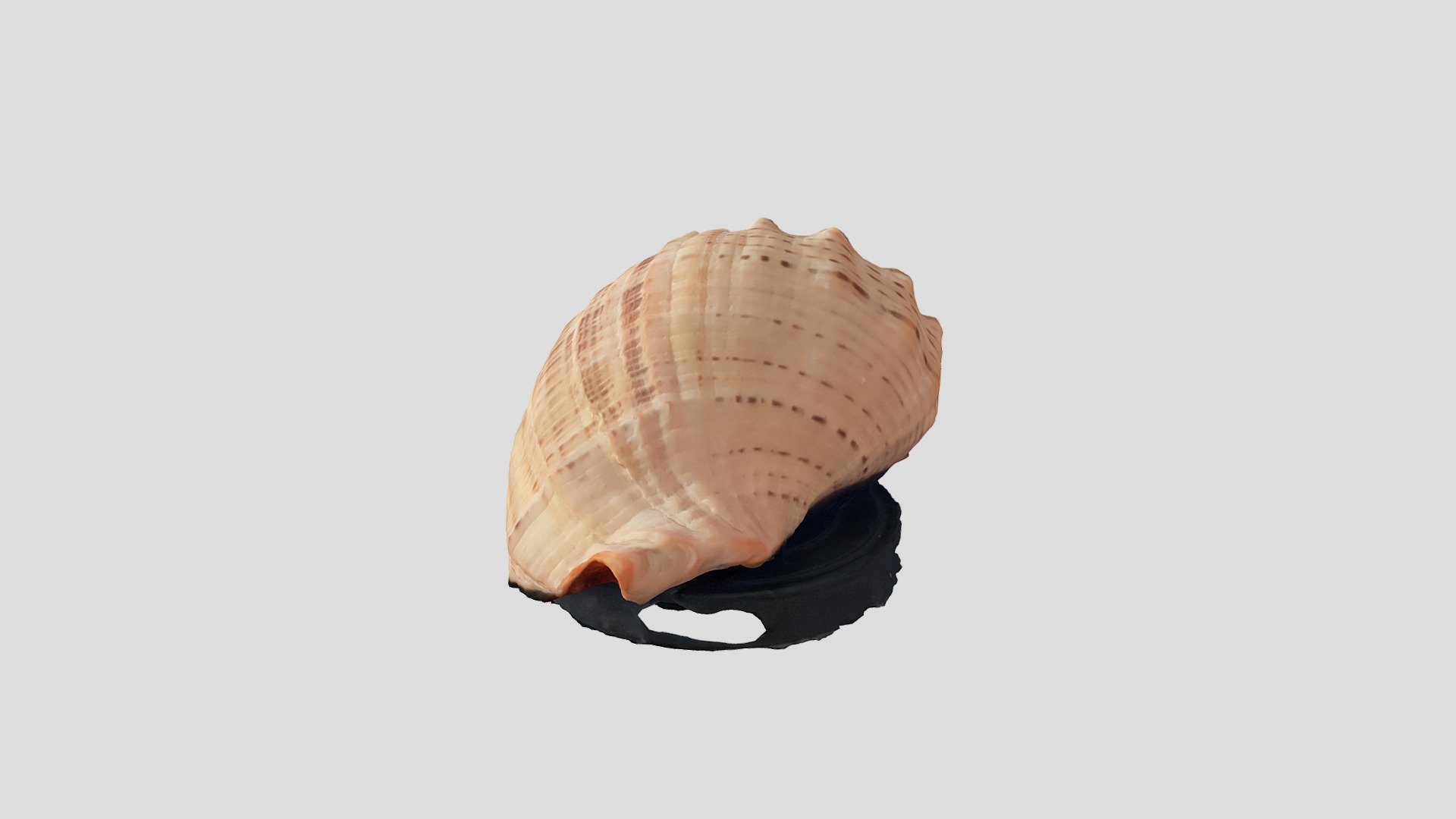 Scan 2023-03-14T07:17:16.894Z — Sketchfab embed 3D viewer