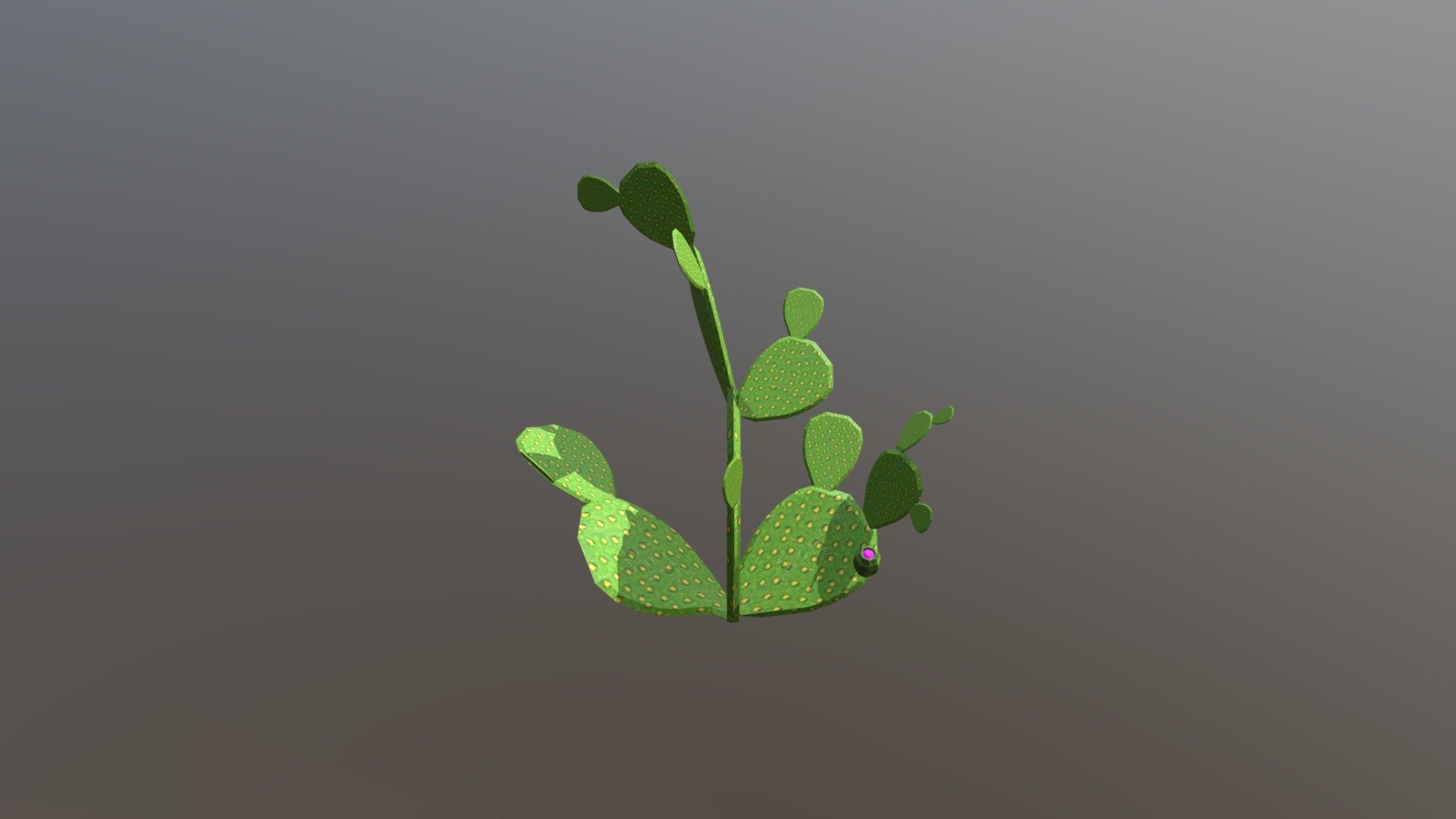 Cacto 2 - 3D model by Pedro.Goulart [1ad3e55] - Sketchfab