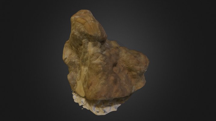 Rat Fossil 3D Model