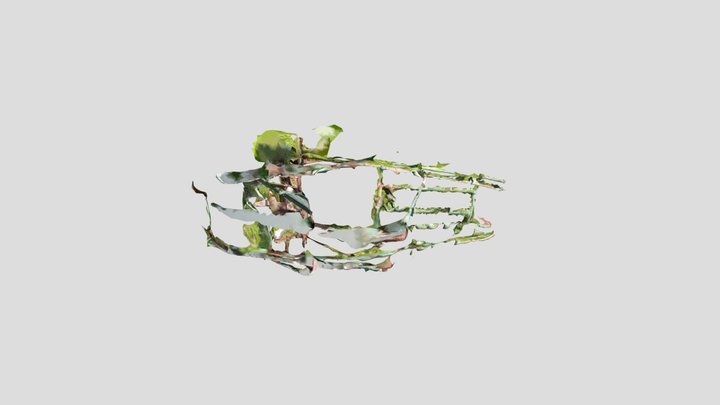 My stunning 3D reconstruction 3D Model