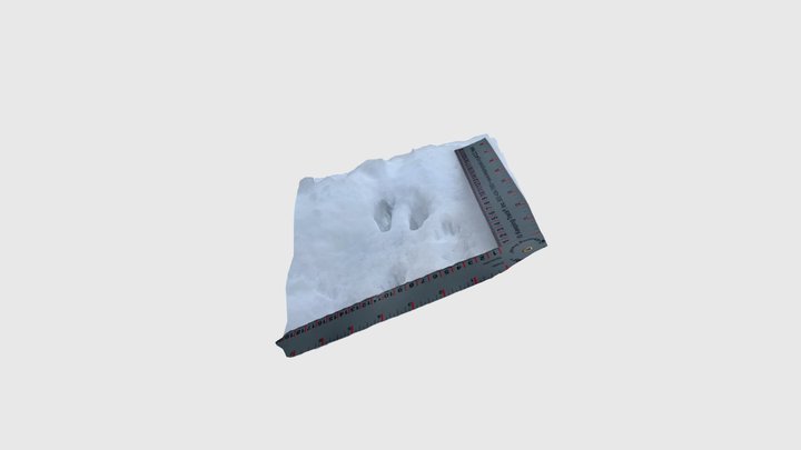 Red squirrel tracks in snow. Swan Valley MT 3D Model