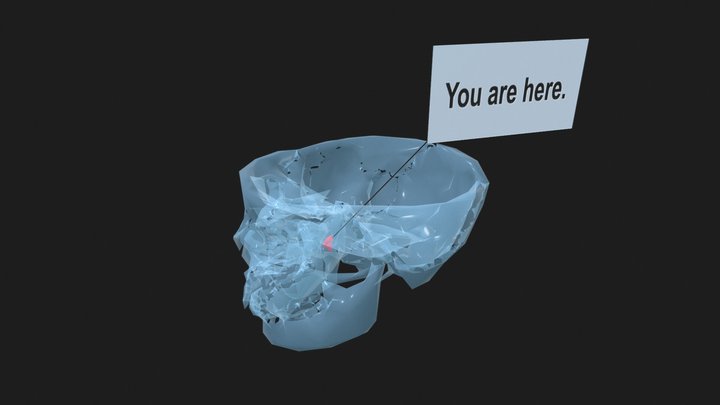 PTPFossa Skull Reference 3D Model