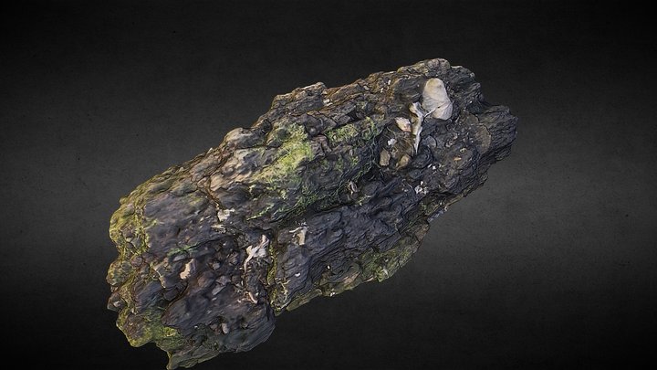 Stump 3D Model