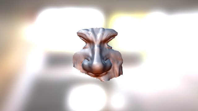 3D Face focused 3D Model
