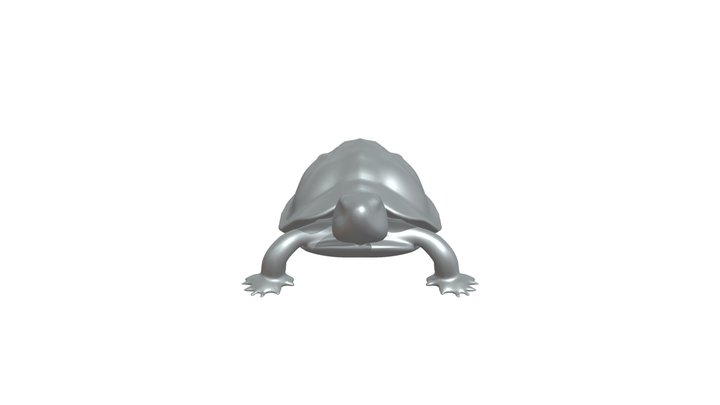 Turtle with detailed shell and legs 3D Model
