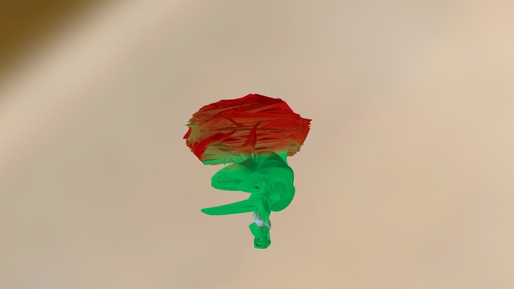 rose