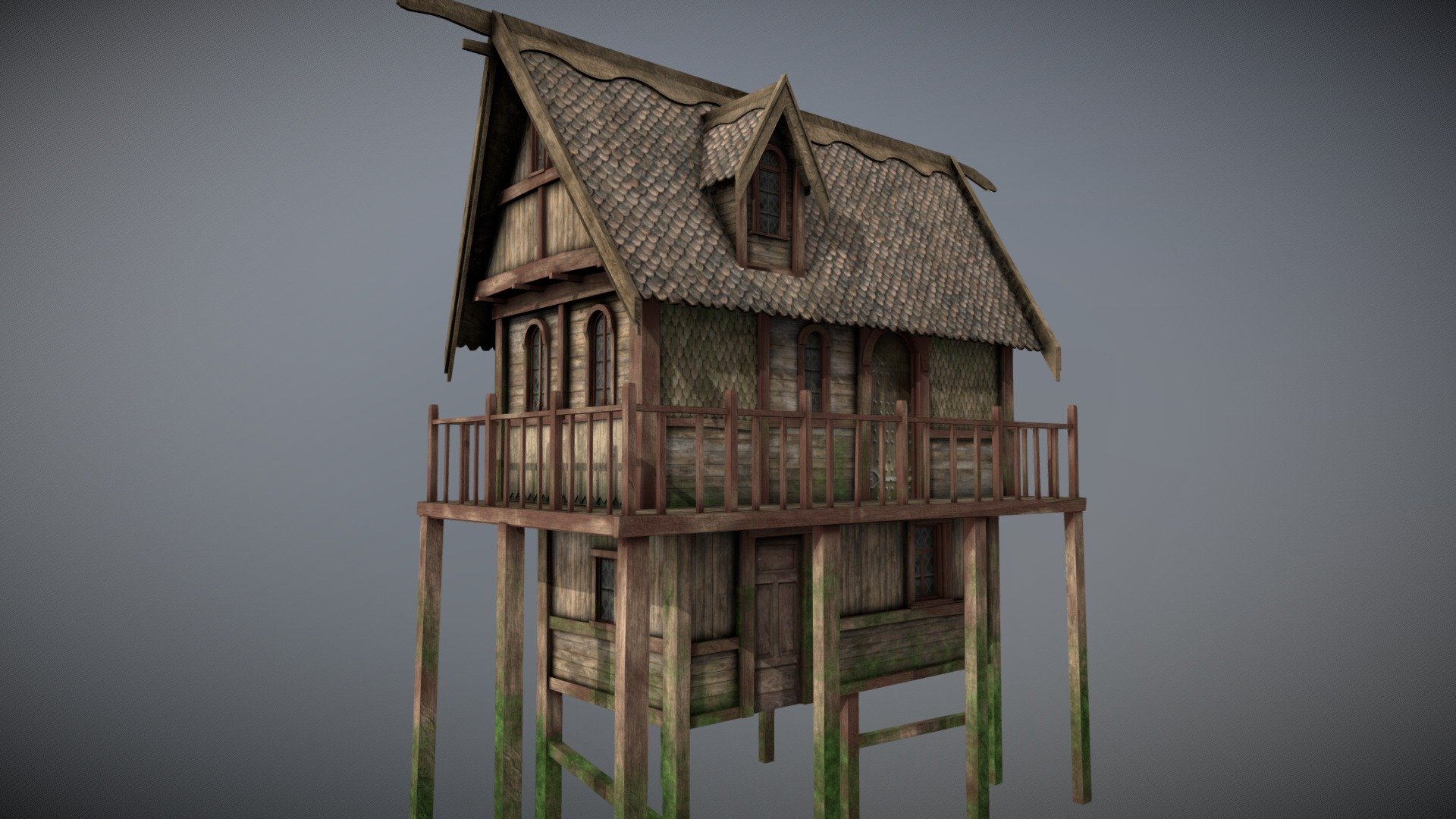 Medieval lake village - House 19