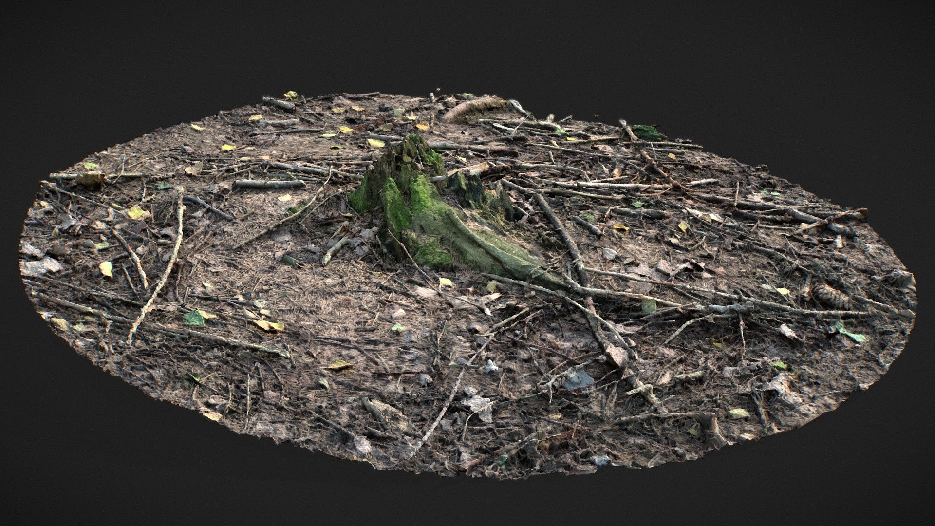 Stump with Forest Ground and Sticks - Buy Royalty Free 3D model by ...