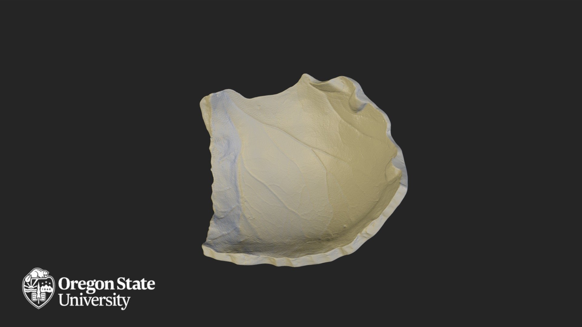 Parietal Left