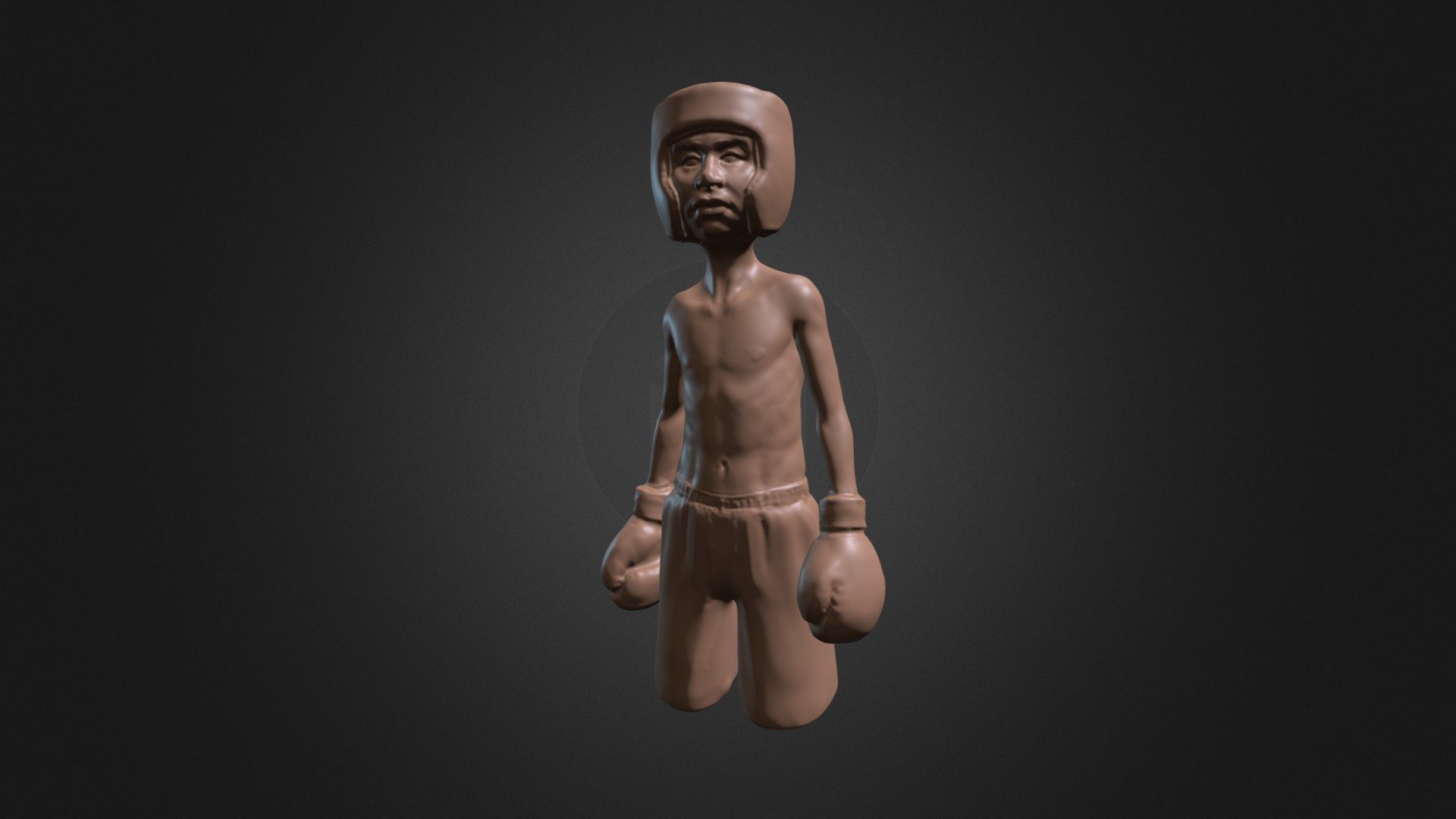 Lil' Boxer