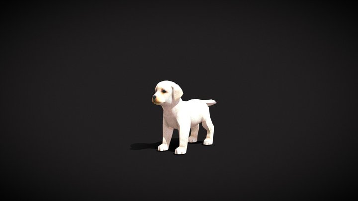 Labrador Retriever puppy