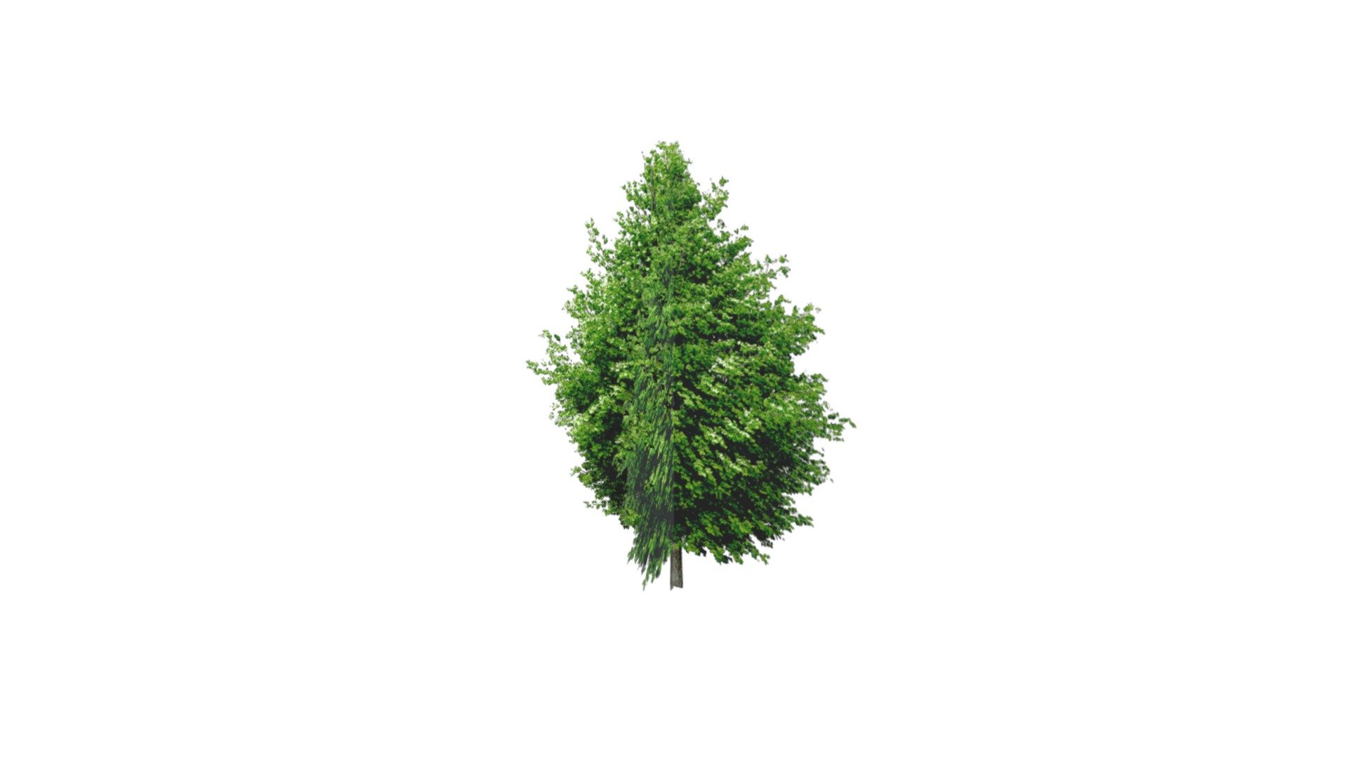 Tree2